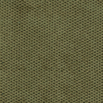 Bolzan Lettti velvet texture, olive green, dense nubby knots in a regular grid, short pile, durable upholstery fabric, sample 801.